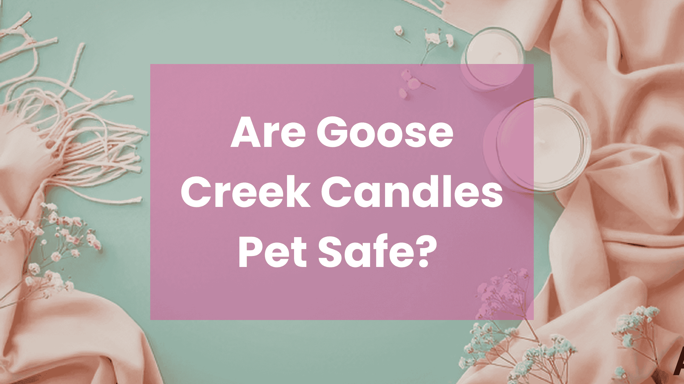 Are Goose Creek Candles Pet Safe?